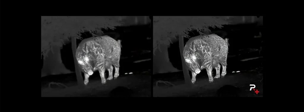 Reality+ Imaging Enhancement